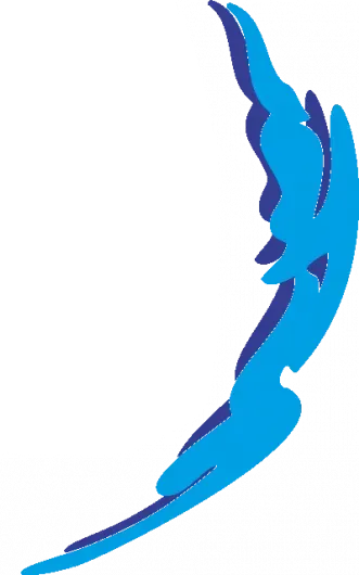 Dominique Vigie Plâtrerie logowebp